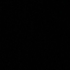 Meet your Posher, Felipa